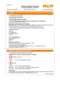 Scheda di sicurezza italiano