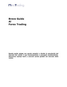 Breve Guida Al Forex Trading