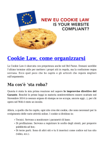 Cookie Law, come organizzarsi