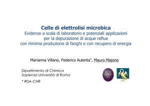 Celle di elettrolisi microbica - Irsa-Cnr