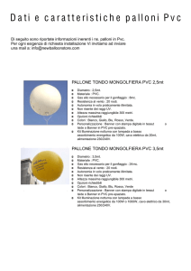 Dati e caratteristiche palloni Pvc