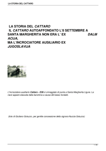 la storia del cattaro - Mare Nostrum Rapallo
