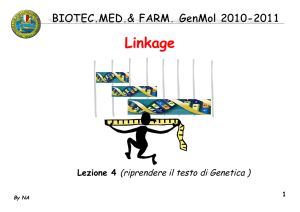 04 BIOTEC GenMol 10_11 linkage