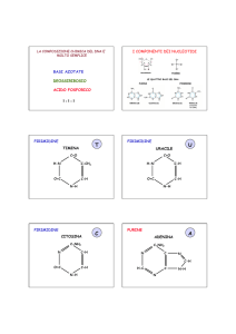 Lezione 04- Il DNA