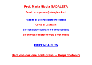 Prof. Maria Nicola GADALETA DISPENSA N. 25 Beta ossidazione