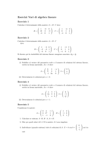 Esercizi Vari di algebra lineare