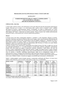 Pagina 1 di 20 PROGRAMMA DI SVILUPPO RURALE PER IL