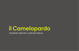 portfolio_ilCamelopardo