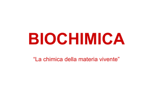 1-Biochimica