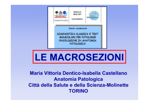 le macrosezioni - Rete Oncologica Piemonte