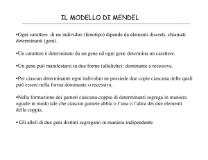 IL MODELLO DI MENDEL