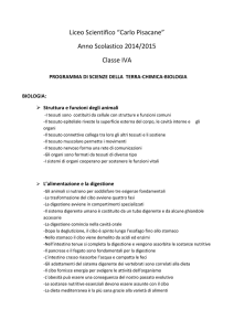 Liceo Scientifico “Carlo Pisacane” Anno Scolastico 2014/2015