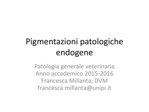 Pigmentazioni patologiche endogene