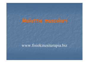Malattie muscolari - Fisiokinesiterapia
