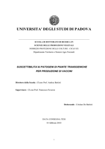 Documento PDF - Padua@Research