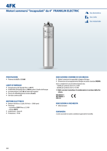 Motori sommersi “incapsulati” da 4” FRANKLIN ELECTRIC