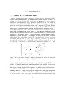 13. Campi vettoriali 1 Il campo di velocit`a di un fluido