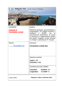 Tav.16 Relazione Geologica - Comune di Polignano a Mare