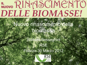 Il ruolo della ricerca nello sviluppo della filiera biomassa