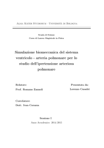 Simulazione biomeccanica del sistema ventricolo