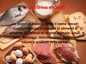 Le proteine animali