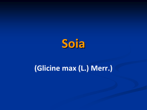 Soia - Associazione Studenti di Agraria IAAS Sassari