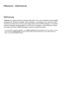 Ribosomi - Definizione