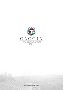 - Caccin Vini