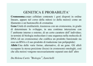 Lez08-Genetica e Probabilità