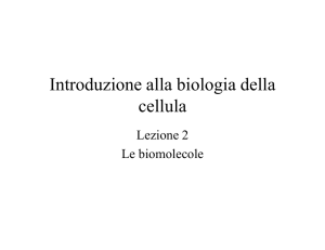 Introduzione alla biologia della cellula