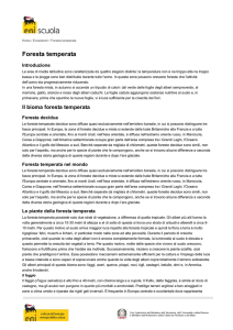 "Il bioma foresta temperata" in pdf