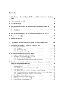 Documento PDF