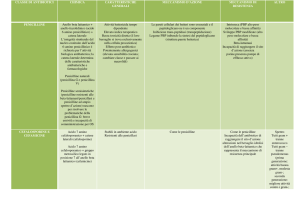 Antibiotici e Chemioterapici – tabelle schematiche 1