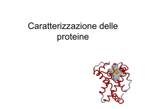 Caratterizzazione delle proteine - Università degli Studi di Roma