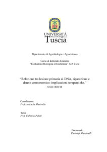 Tuscia - Unitus DSpace