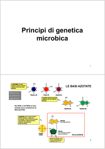 Principi di genetica microbica