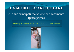 Mobilità articolare PRIMA PARTE.pptx