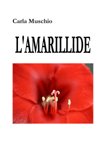 L`amarillide - Carla Muschio