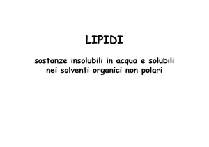 lipidi - Unife