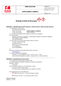 Scheda di Dati di Sicurezza