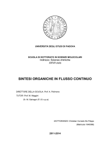 SINTESI ORGANICHE IN FLUSSO CONTINUO