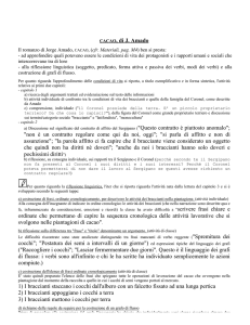 CACAO, di J. Amado "non è un contratto regolare come qui da noi