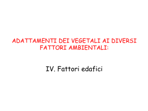 Lez9_Adattamento vegetali all`ambiente