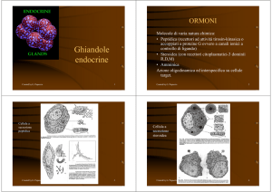 Ghiandole endocrine