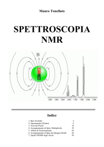 Breve introduzione all`NMR File - e-Learning