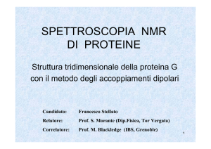 SPETTROSCOPIA NMR DI PROTEINE