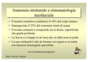 Anatomia strutturale e sintomatologia fasciale