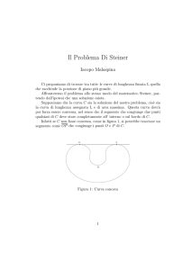 Il Problema Di Steiner - Unicam