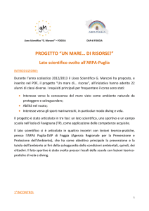 Relazione lezioni _ ARPA - Liceo Marconi