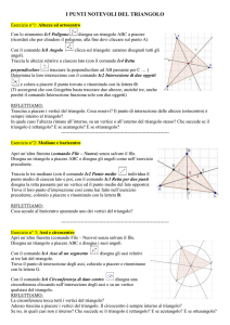 punti notevoli triangolo_istruzioni